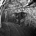 souvenirs en noir et blanc (107)